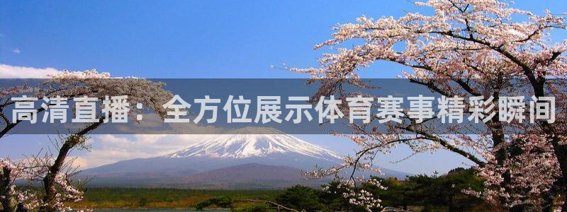 玩球直播app苹果：高清直播：全方位展示体育赛事精彩瞬间