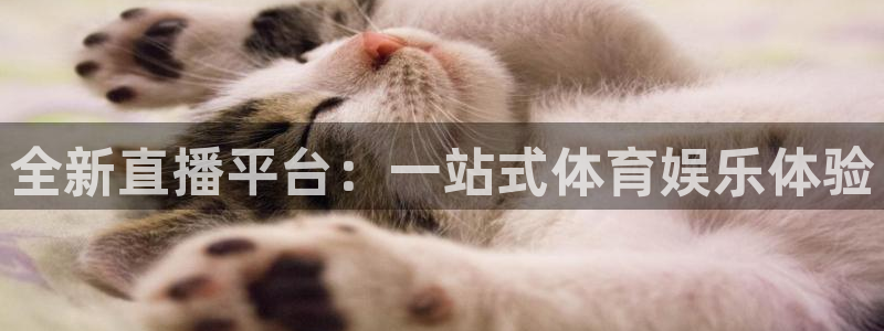 玩球直播app官网：全新直播平台：一站式体育娱乐体验