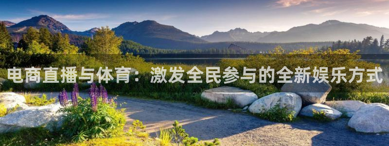 360玩球直播：电商直播与体育：激发全民参与的全新娱乐方式