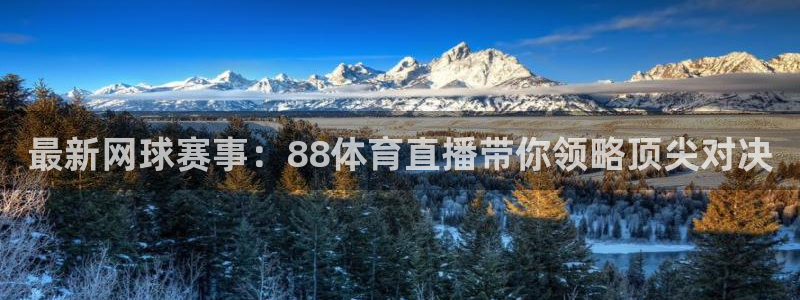 玩球直播免费直播：最新网球赛事：88体育直播带你领略顶尖对决
